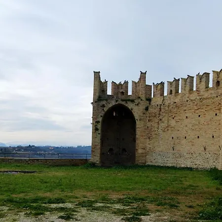Antilla * Pedaso